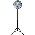 Lumiere L.A. L600 600-watt Floorstand Studio Light