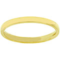 IPG Gold Stainless Steel Band