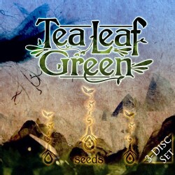 Tea Leaf Green - Seeds
