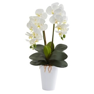 Double Phalaenopsis Orchid Artificial Arrangement In Vase Bed