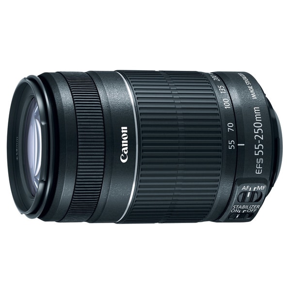 Canon EF-S 55-250mm f/ 4-5.6 IS Telephoto Zoom Lens