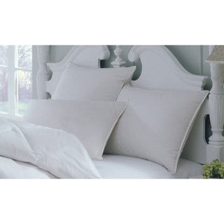 All-season Down Alternative Pillows (Set of 2)