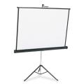 Apollo 60-inch Tripod Projection Screen