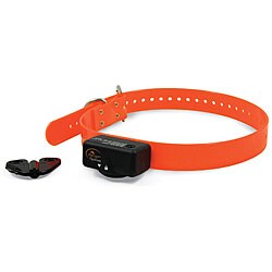 control collar bark sportdog