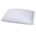 Select Luxury E.C.O. Standard-size Latex Pillow