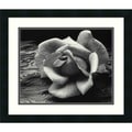 Adams 'Rose and Driftwood, San Francisco 1932' Framed Print