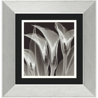 Steven N. Meyers 'Four Callas #3' Framed Art Print
