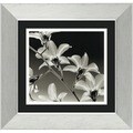 Steven N. Meyers 'Orchid Denrobium' Framed Art Print