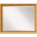 Townhouse Goldtone Wall Mirror - Large