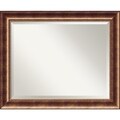Large Manhattan Burnished Bronze Wall Mirror