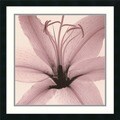 Steven N. Meyers 'Lily' Framed Art Print