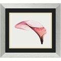 Steven N. Meyers 'Giant Calla' Framed Art Print