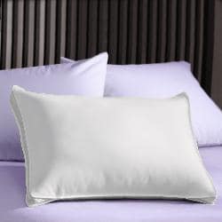 Extra Firm 3-inch Gusset Natural Pillows (Set of 2)