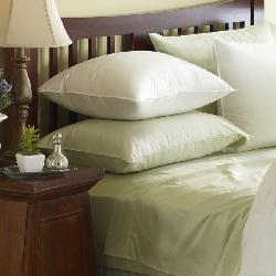 White Down 300 Thread Count Egyptian Cotton Pillows (Set of 2)