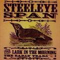 Steeleye Span - The Lark in the Morning: The Early Years