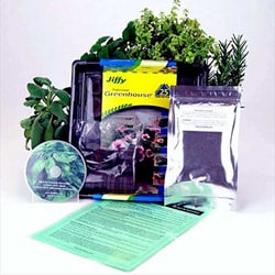 1cheap Indoor Herbal Tea Herb Garden Starter Kit Best Gardening 2015