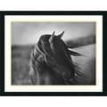 Tony Stromberg 'Fierce Grace' Framed Art Print