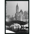 'Central Park' Framed Textured Art