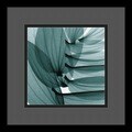 Steven N. Meyers 'Lily Leaves' Framed Art Print