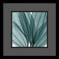 Steven N. Meyers 'Leaf Bouquet' Framed Art Print