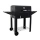 Char-Broil Outdoor Charcoal Grill