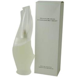 Donna Karan 'Cashmere Mist' Women's 3.4-ounce Eau De Toilette Spray