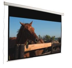 Mustang Electric 120-inch 16:9 Matte White Projection Screen