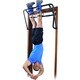 EZ-Up Inversion and Chin-Up System