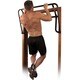 EZ-Up Inversion and Chin-Up System