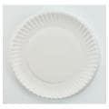 AJM Packaging Corporation Lightweight Paper Plates (Case of 1000)