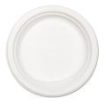Chinet Classic 8 3/4-inch Paper Plate (Case of 500)