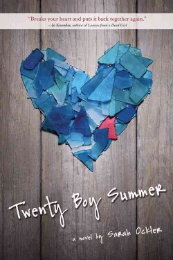 Twenty Boy Summer (Paperback)