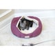 Armarkat 18-inch Burgundy and Beige Waterproof Skid Free Base Pet Bed