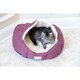 Armarkat 18-inch Burgundy and Beige Waterproof Skid Free Base Pet Bed