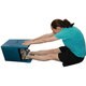 Baseline Trunk Flexibility Sit-and-reach Instrument