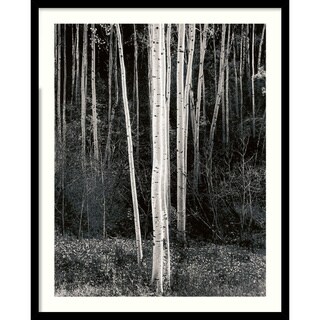 Ansel Adams 'Aspens' Framed Art Print