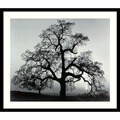 Ansel Adams 'Oak Tree, Sunset City, California' Framed Art Print