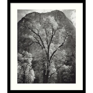 Ansel Adams 'Autumn Tree Against Cathedral Rocks' Framed Art Print