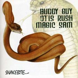 Buddy Guy - Snakebite *