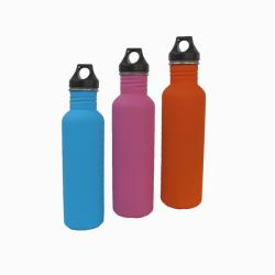 Stainless Steel 25-oz Water Bottles (Pack of 3)