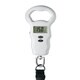 Conair Luggage Scale