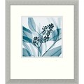 Steven N. Meyers 'Eucalyptus I' Framed Art Print