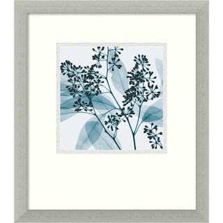 Steven N. Meyers 'Eucalyptus II' Framed Art Print
