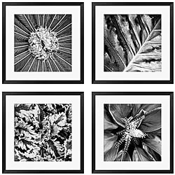 For sale Michael Joseph 'Pollinator Series' 4-piece Framed Art Set