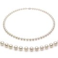 Sterling Silver White Akoya Pearl High Luster 24-inch Necklace (5.5-6 mm)