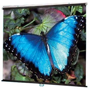 Draper V Screen Manual Projection Screen