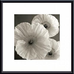 Sondra Wampler 'Poppy Study IV' Metal Framed Art Print-Image