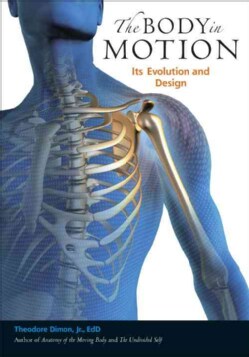 The Body in Motion: Its Evolution and Design (Paperback)