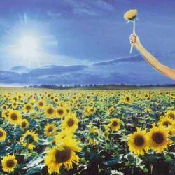 Stone Temple Pilots - Thank You (Greatest Hits)
