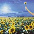 Stone Temple Pilots - Thank You (Greatest Hits)